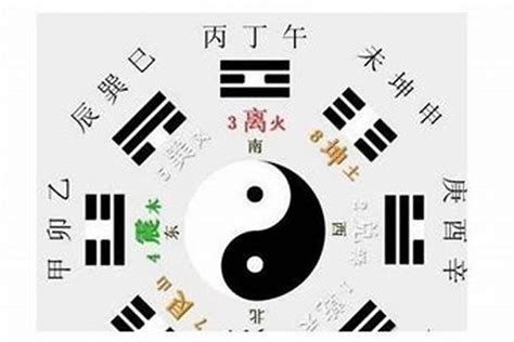 地支天干|天幹地支